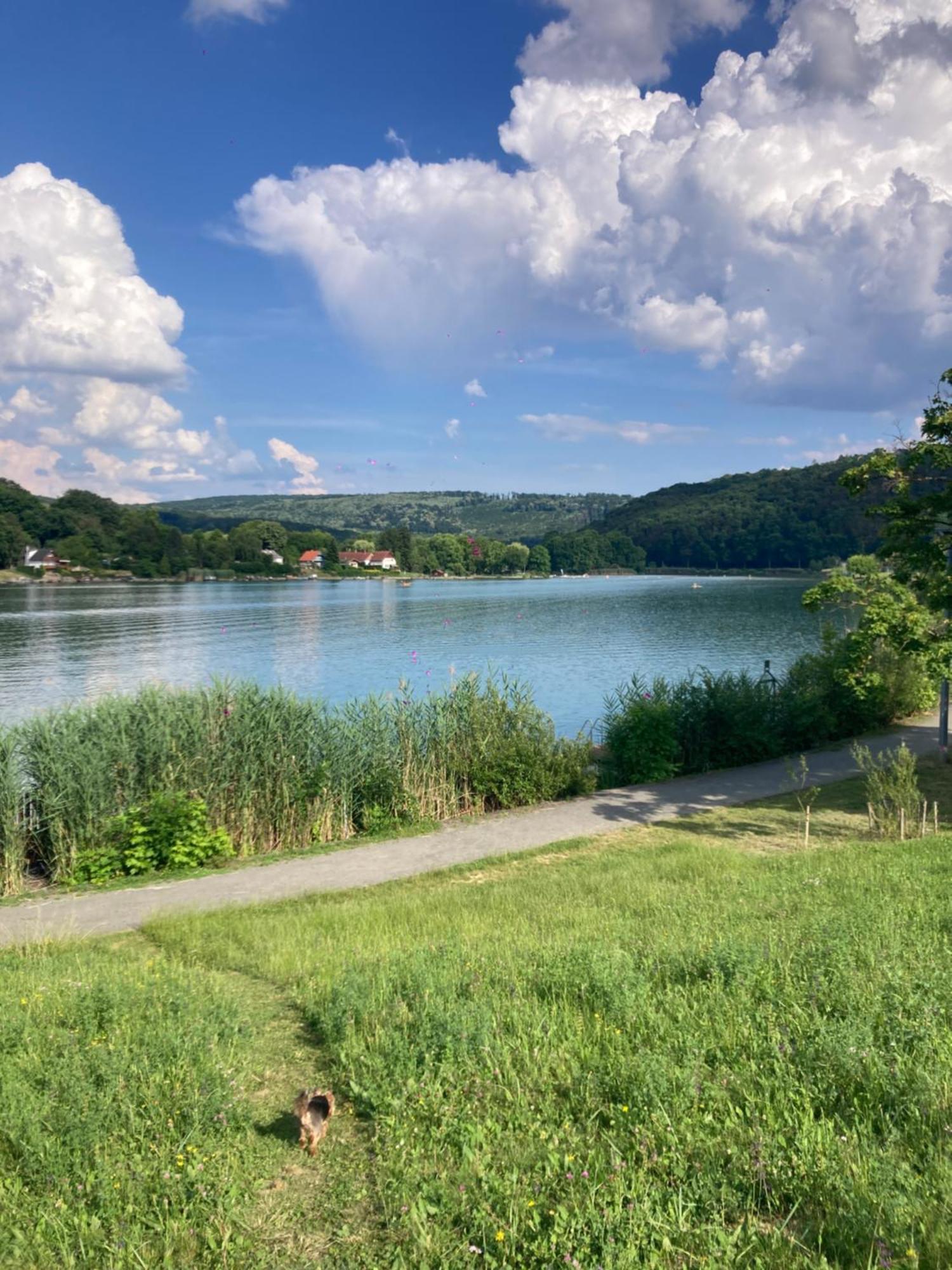 Oazis Apartman Orfu Bagian luar foto